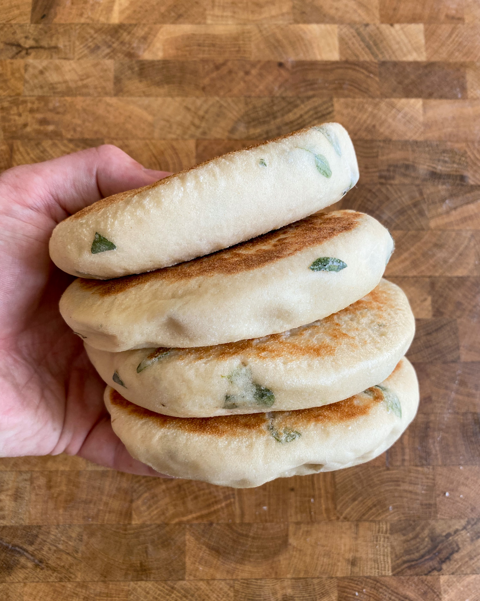 fresh-oregano-pita