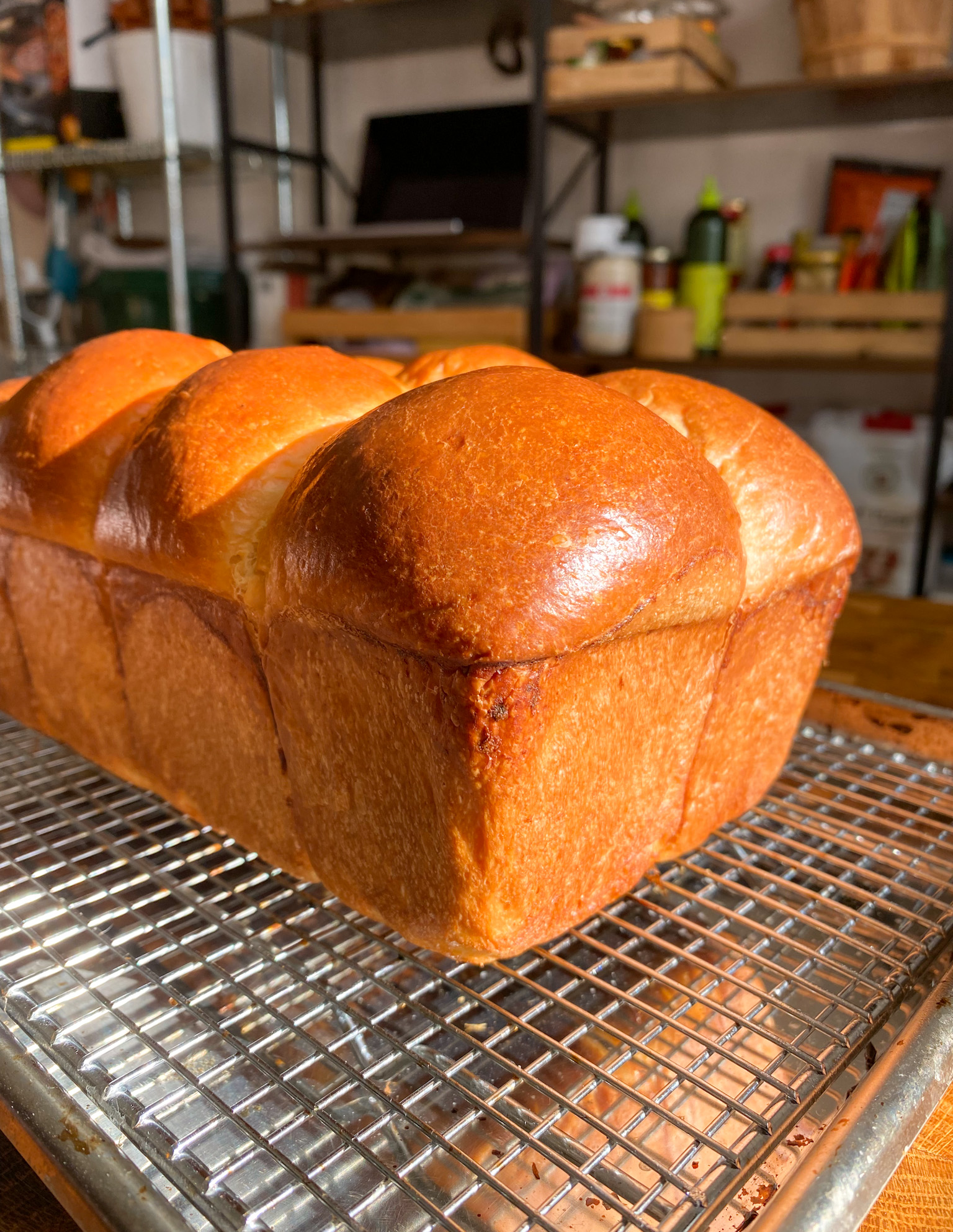 french-brioche