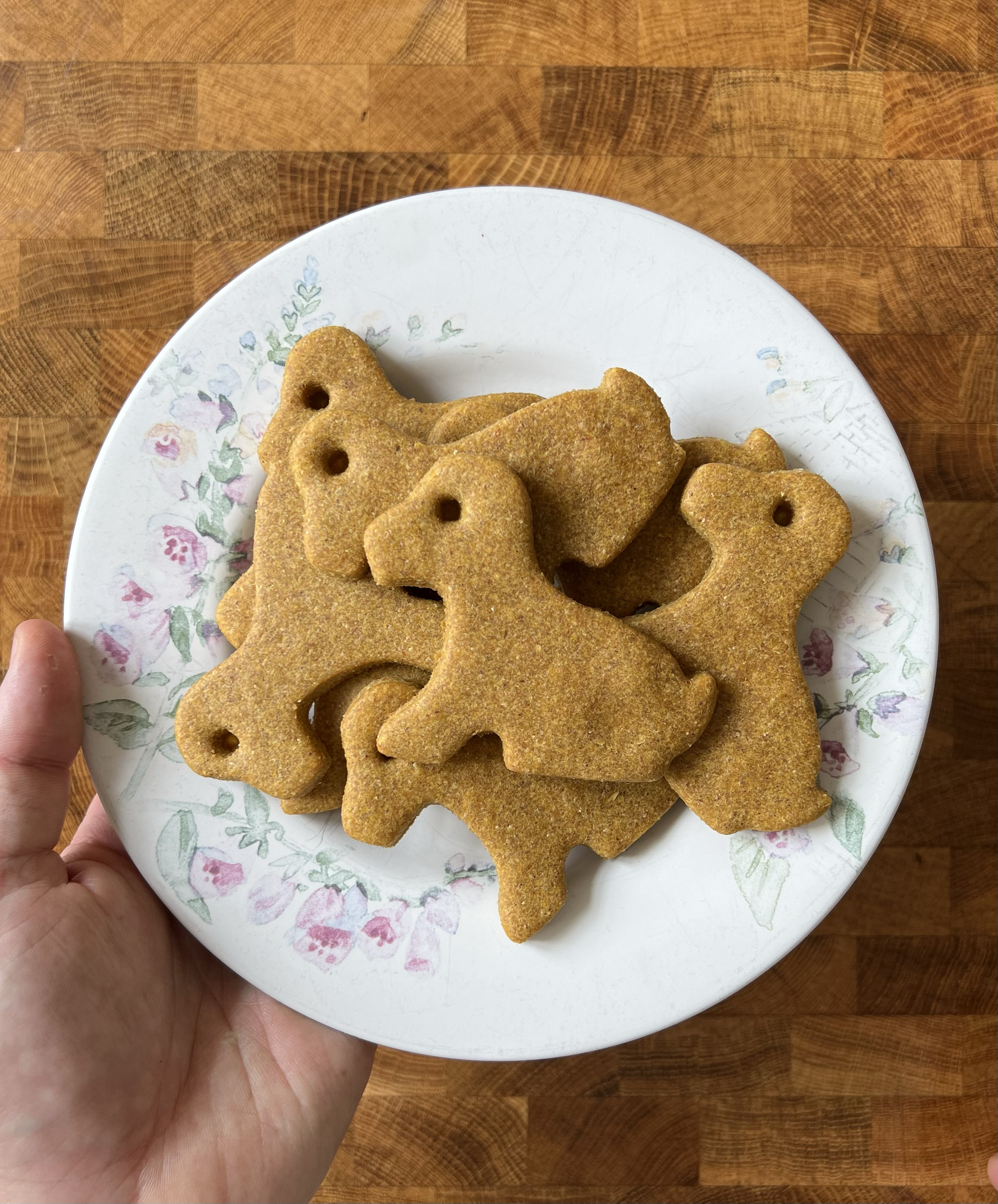pumpkin-peanut-butter-dog-treats