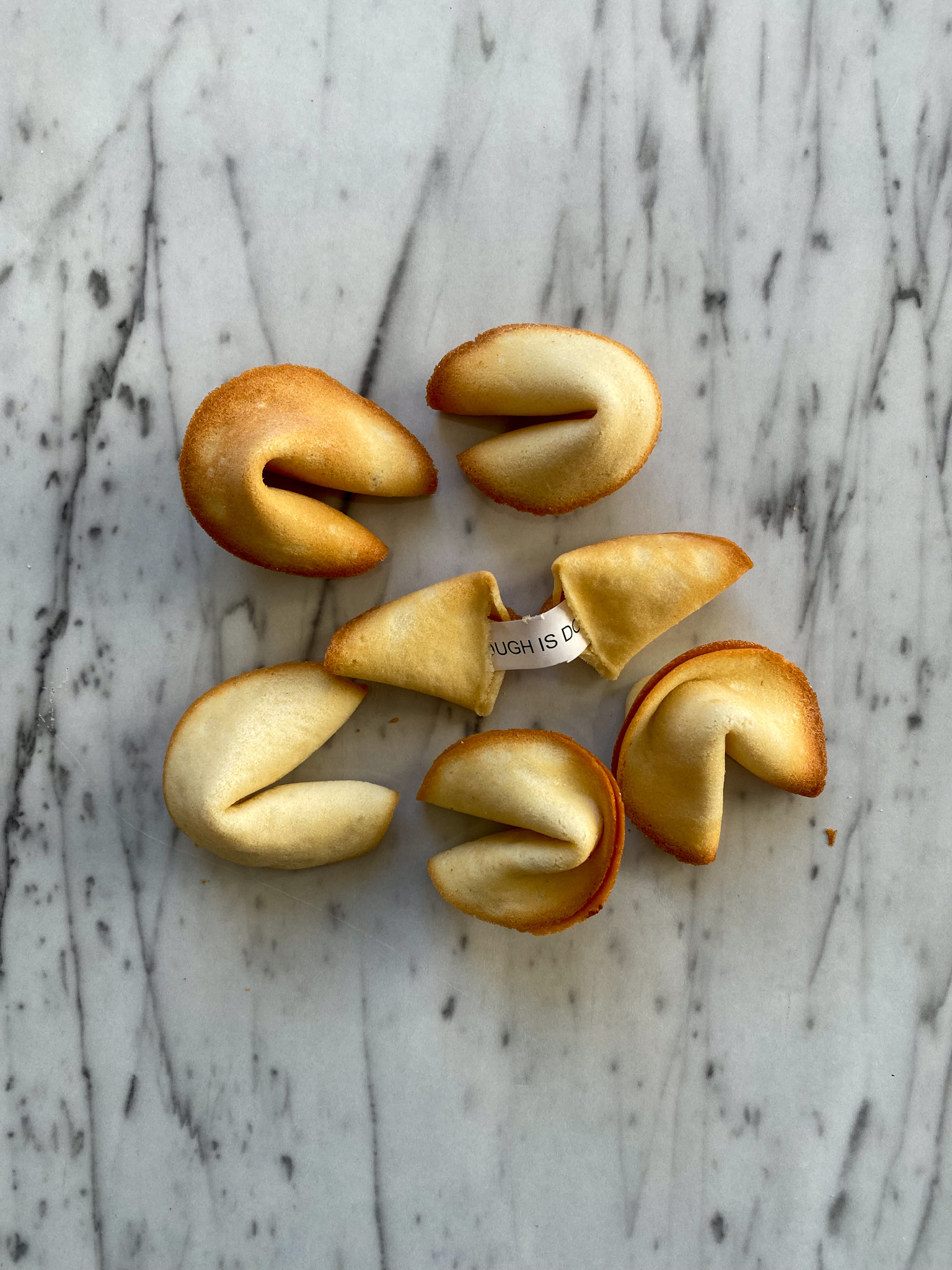 fortune-cookies-2