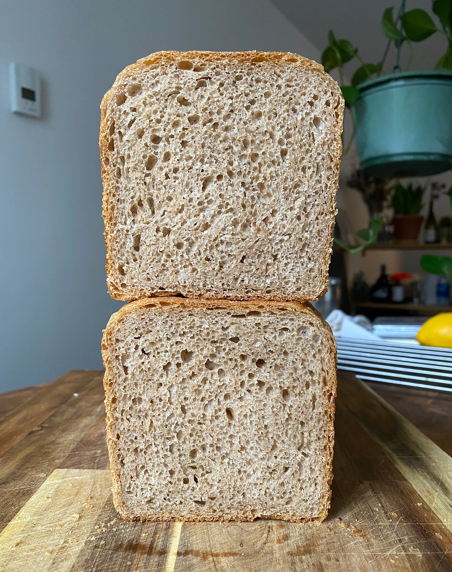 spelt-sandwich-bread