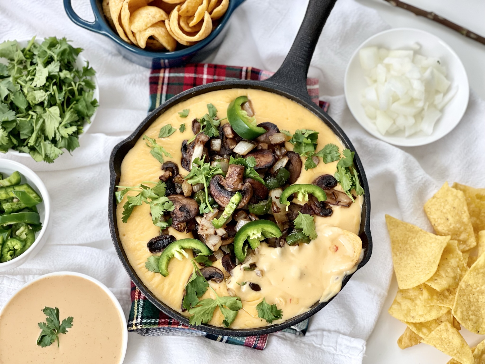 loaded-vegetarian-"philly"-queso-dip