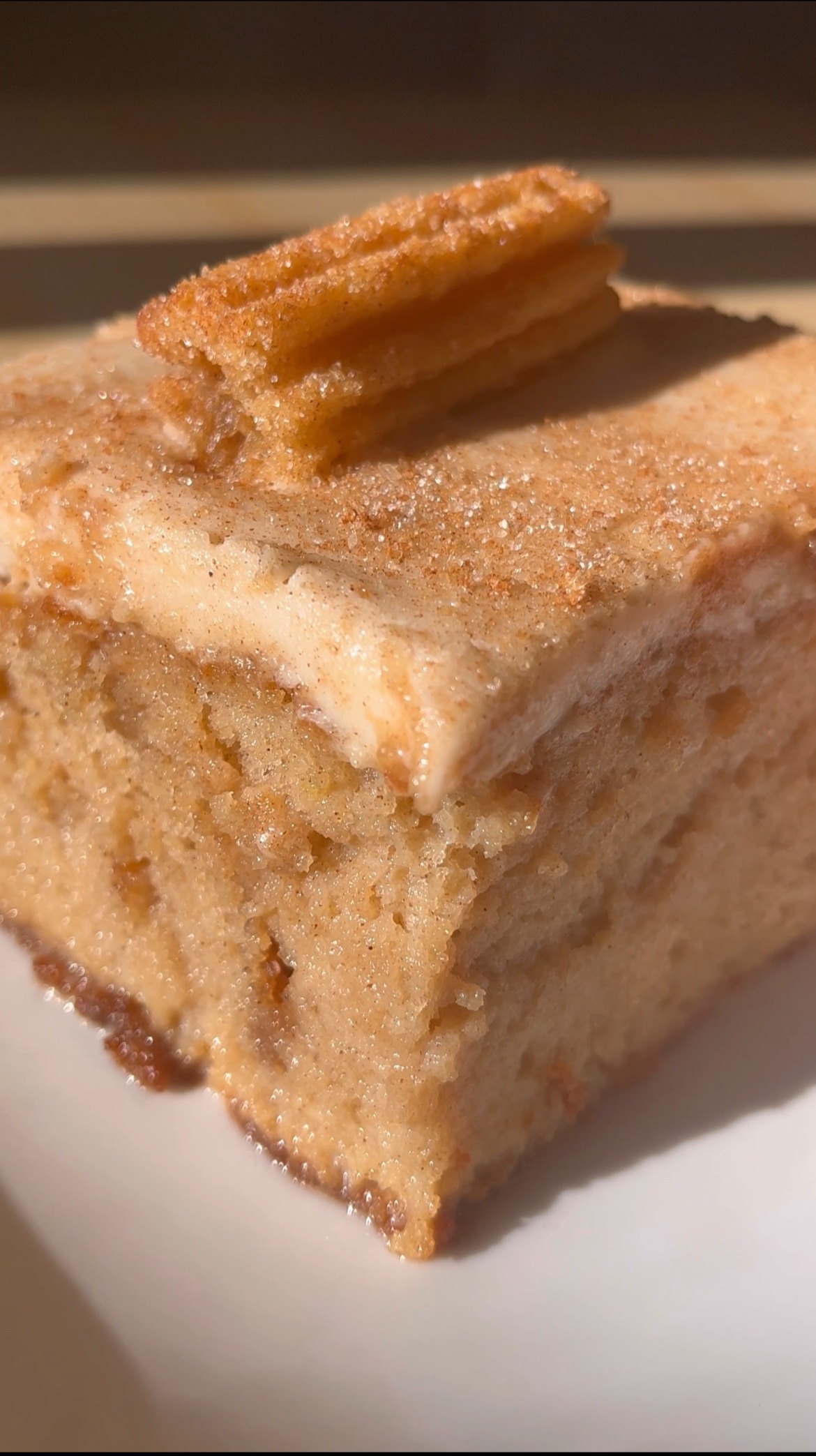 churro-tres-leches-cake