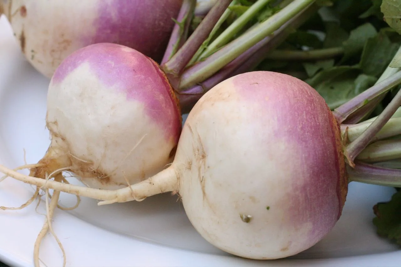 turnip-fries