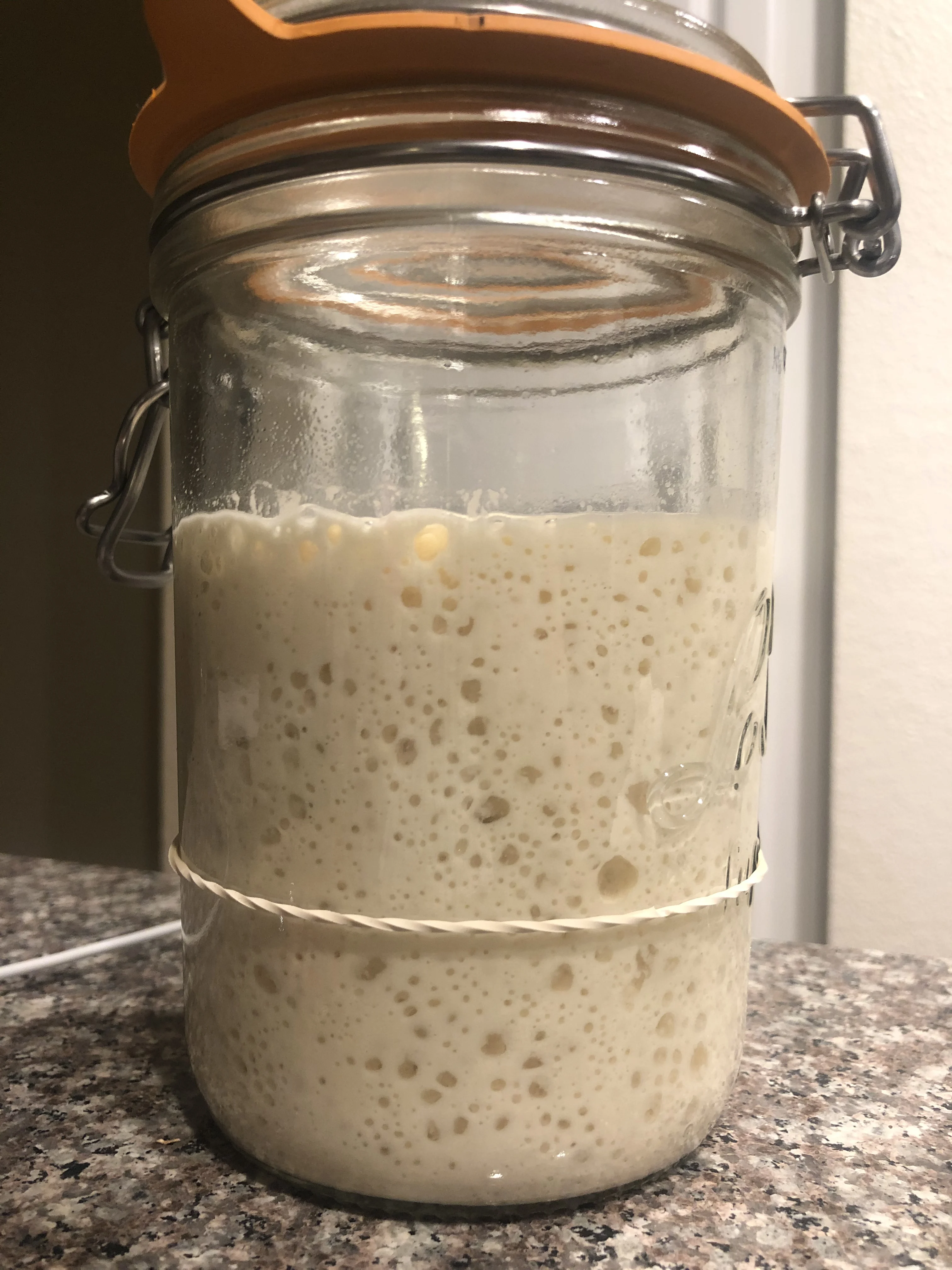 make-your-own-sourdough-starter