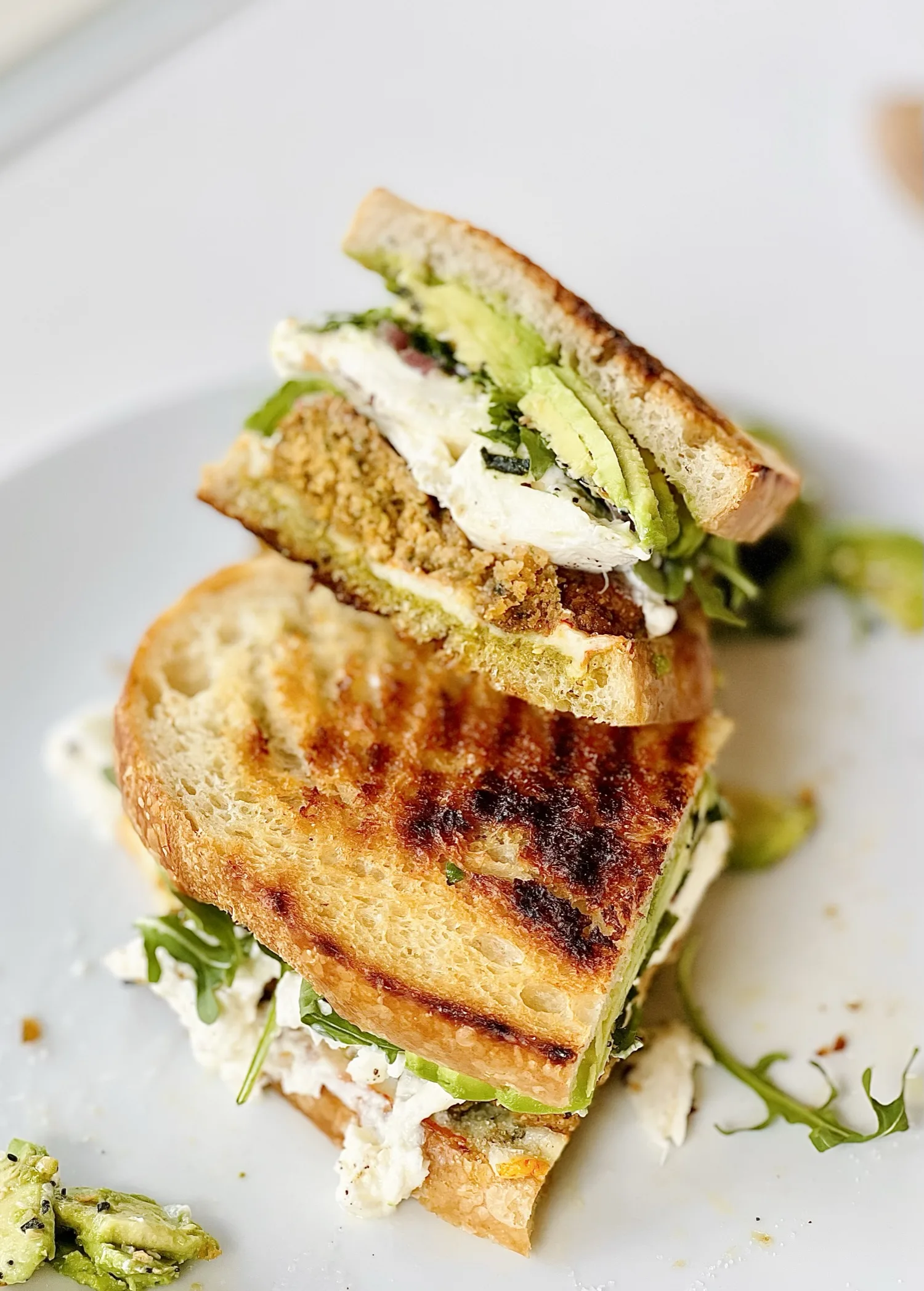 burrata-and-falafel-sandwich