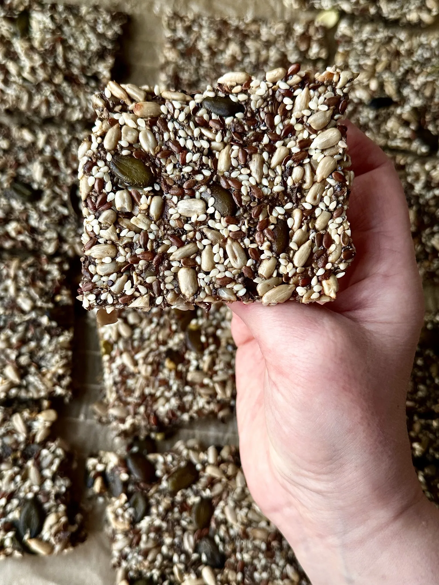 healthy-seed-crackers