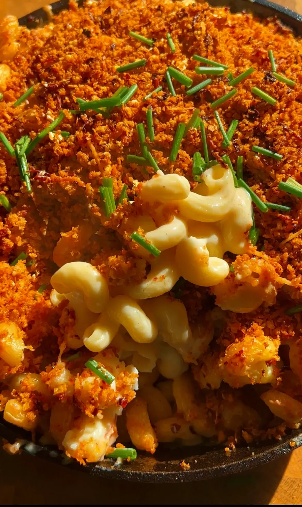 4-cheese-lobster-mac-and-cheese-with-fried-garlic-and-chili-panko-topping