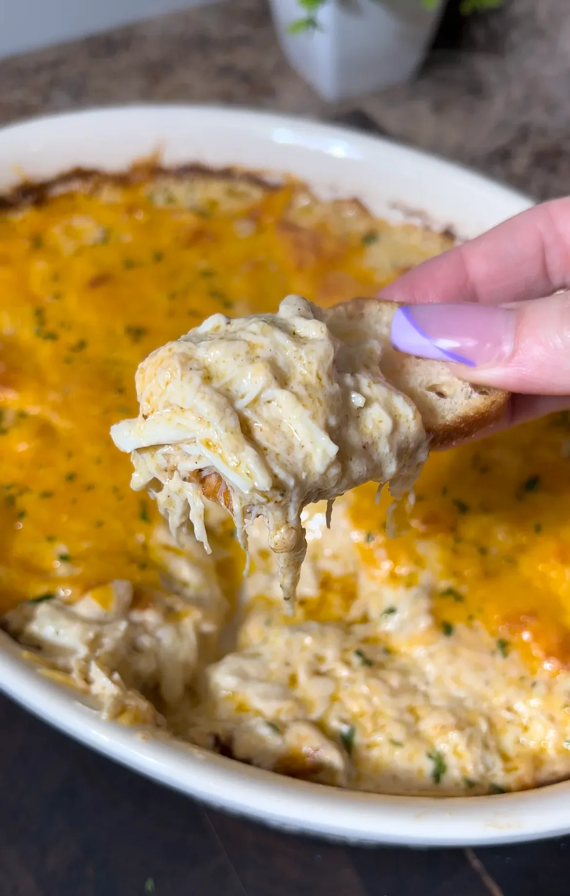 crab-dip