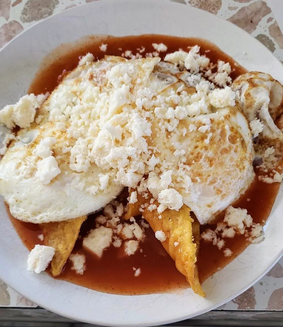 lazy-chilaquiles-rojos-(red-sauce)