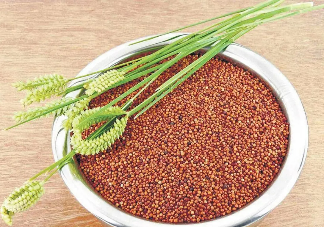 ragi-idli