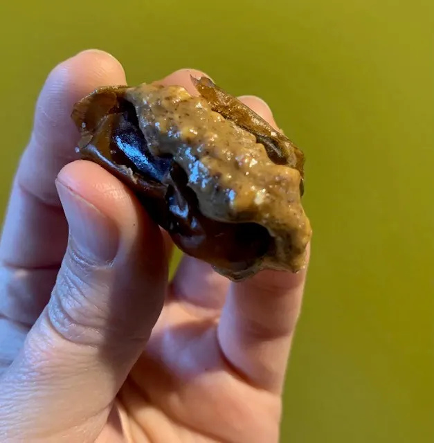 peanut-butter-and-date-bites