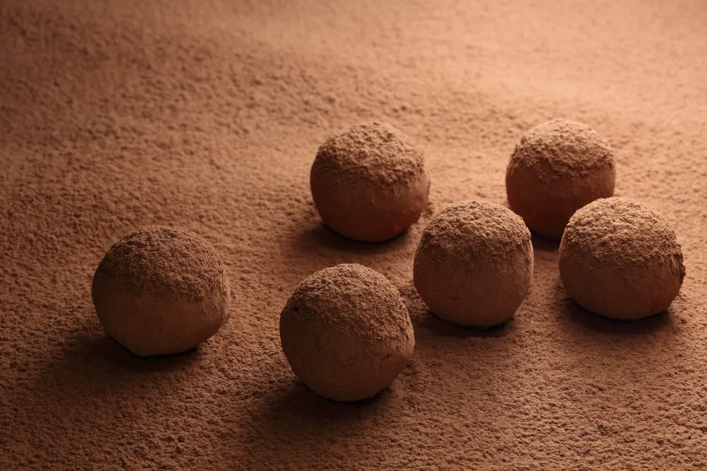 chocolate-truffles