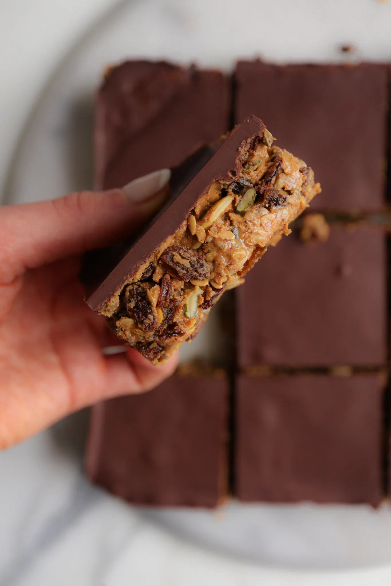 healthy-seed-and-fruit-protein-bars