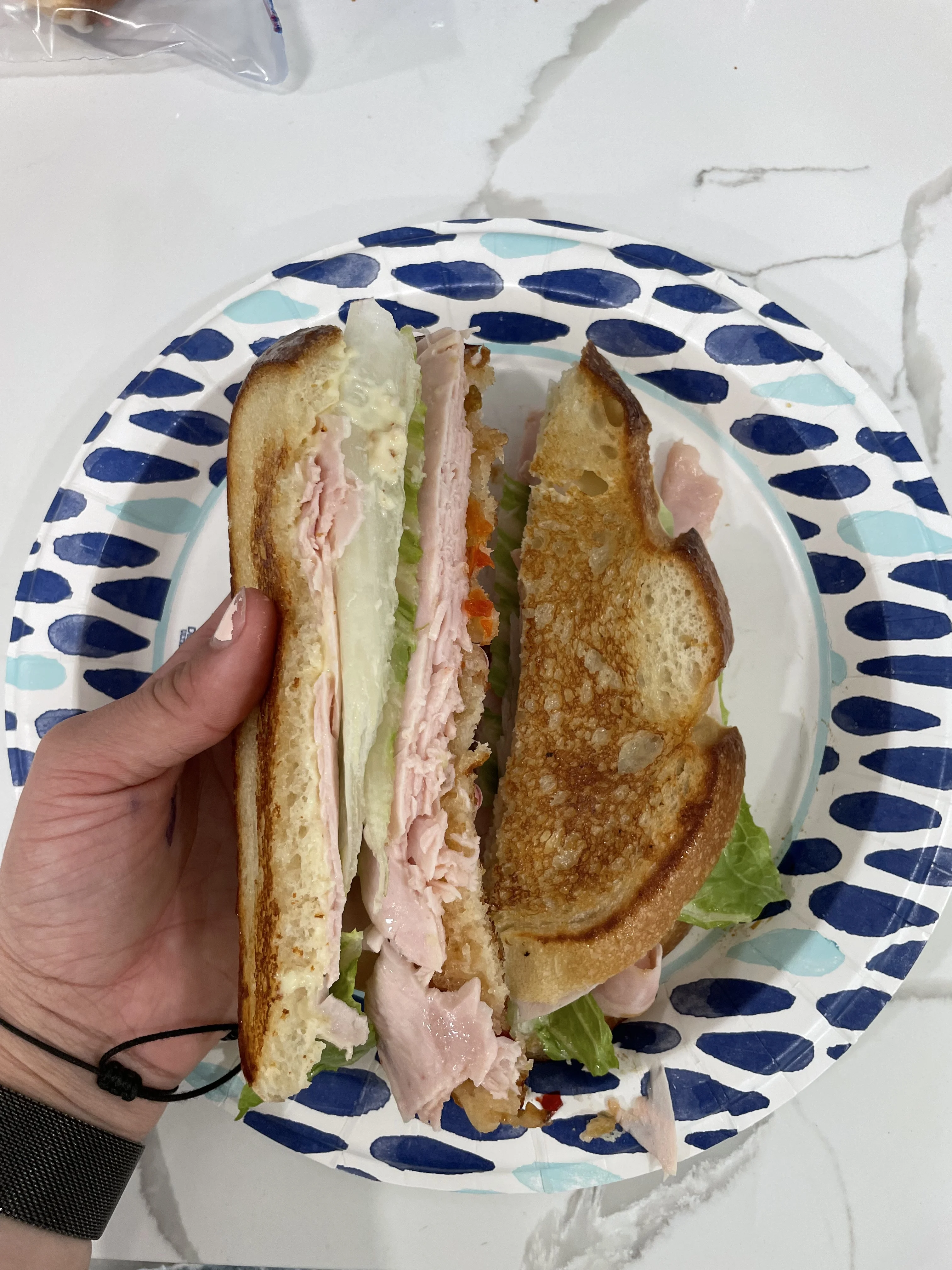 turkey-and-brie-sandwich