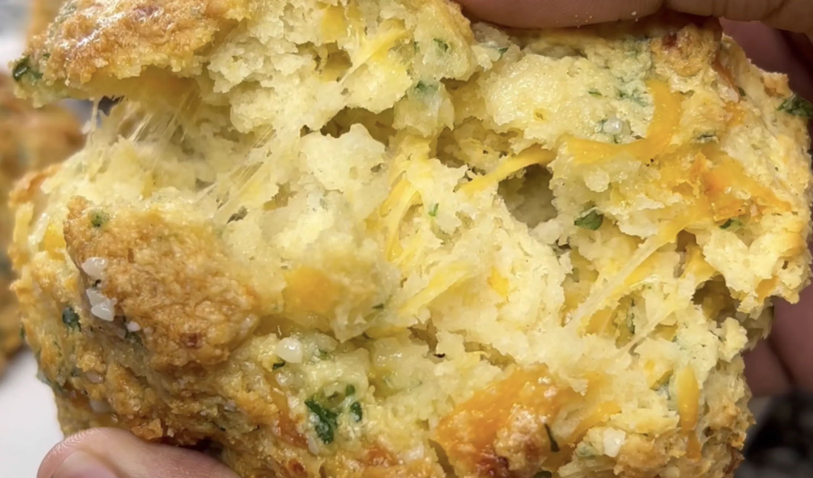 cheddar-bay-biscuits