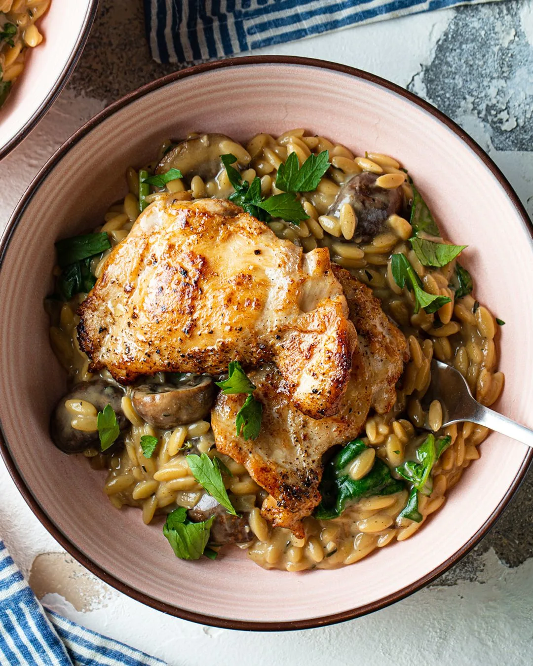 chicken-and-mushroom-orzo