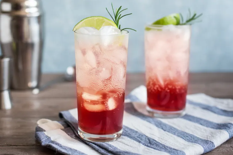 jersey-sour-cherry-gin-fizz