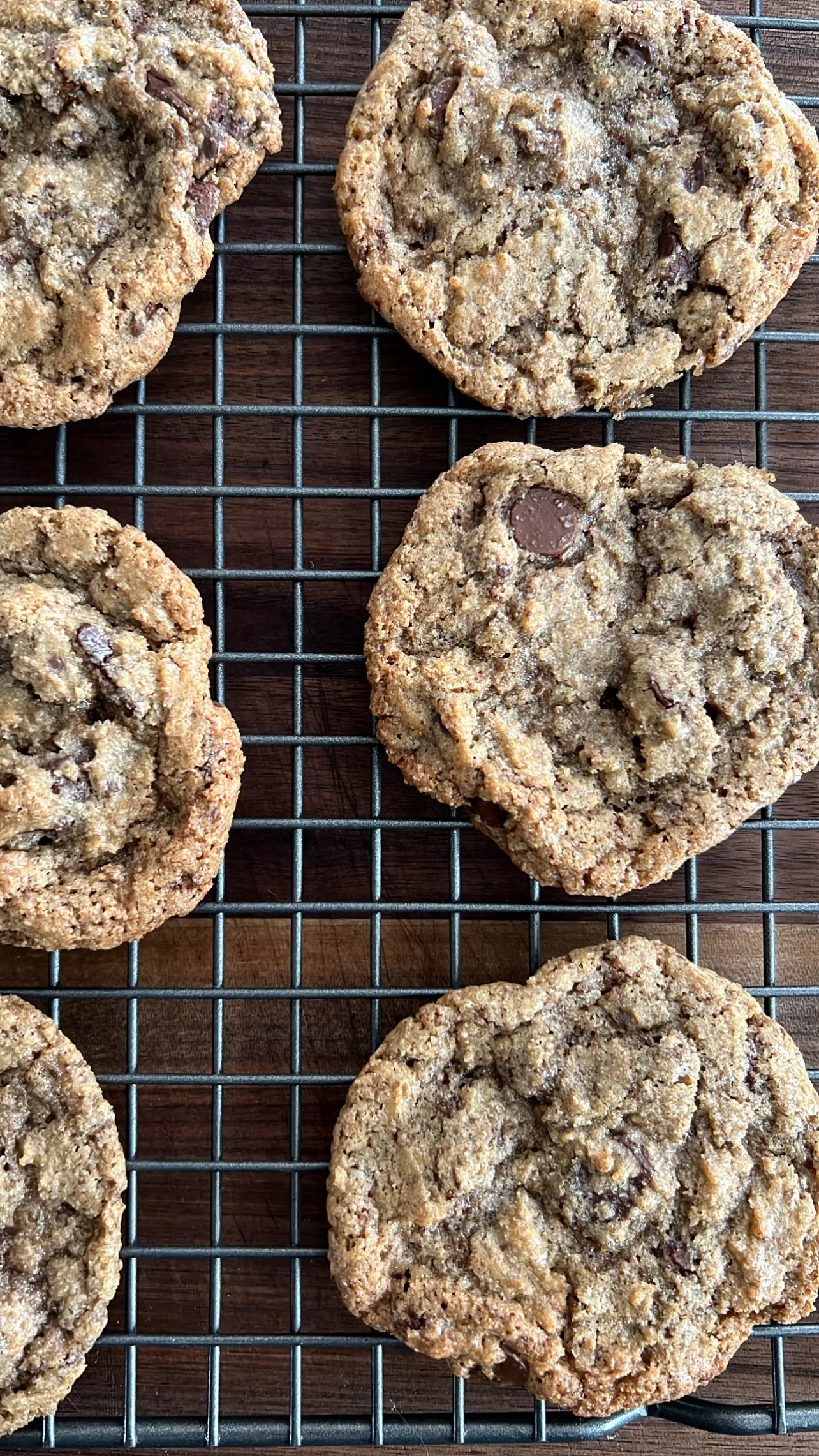 rye-chocolate-chip-cookies