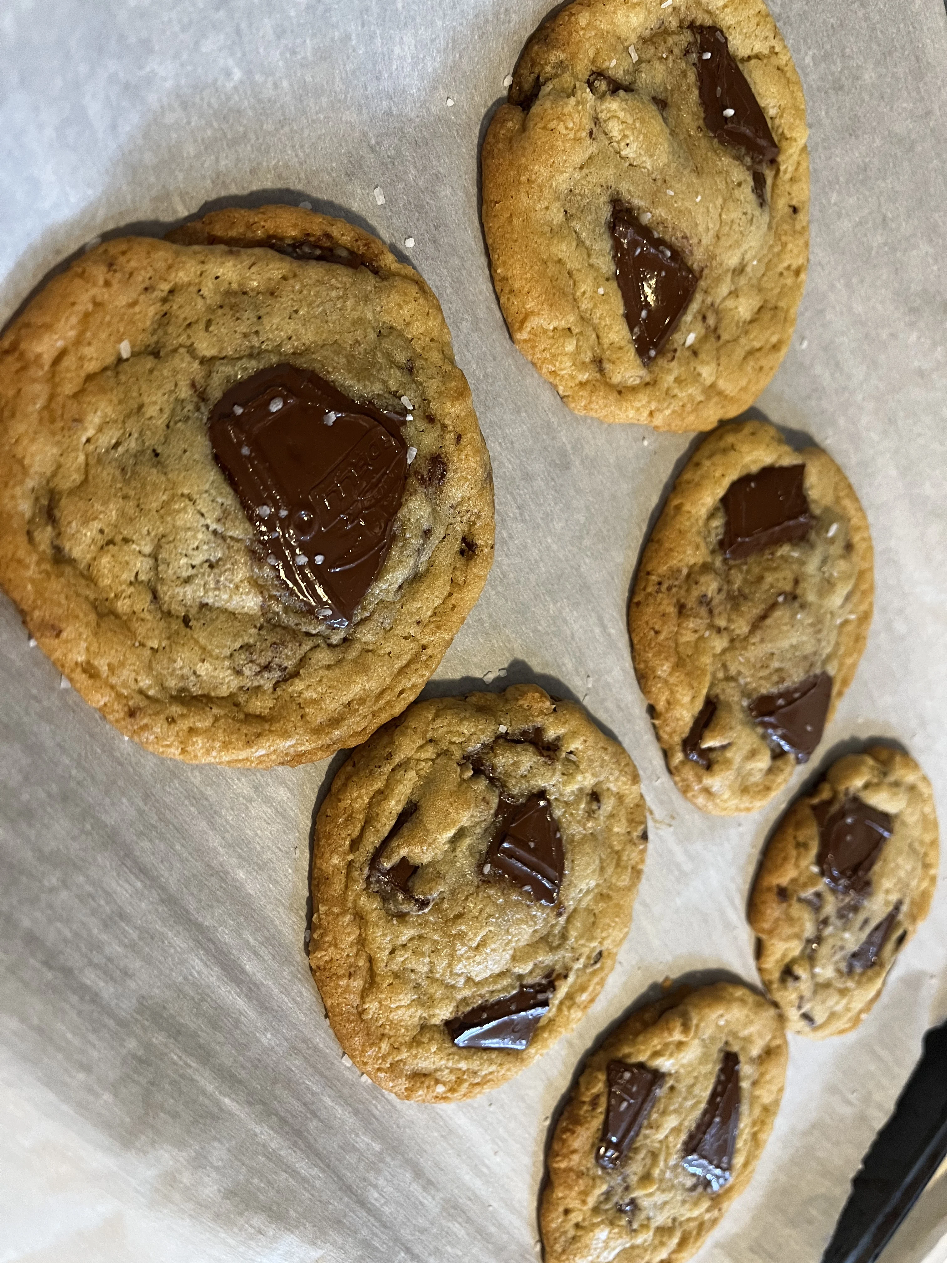 gourmet-chocolate-chunk-cookies
