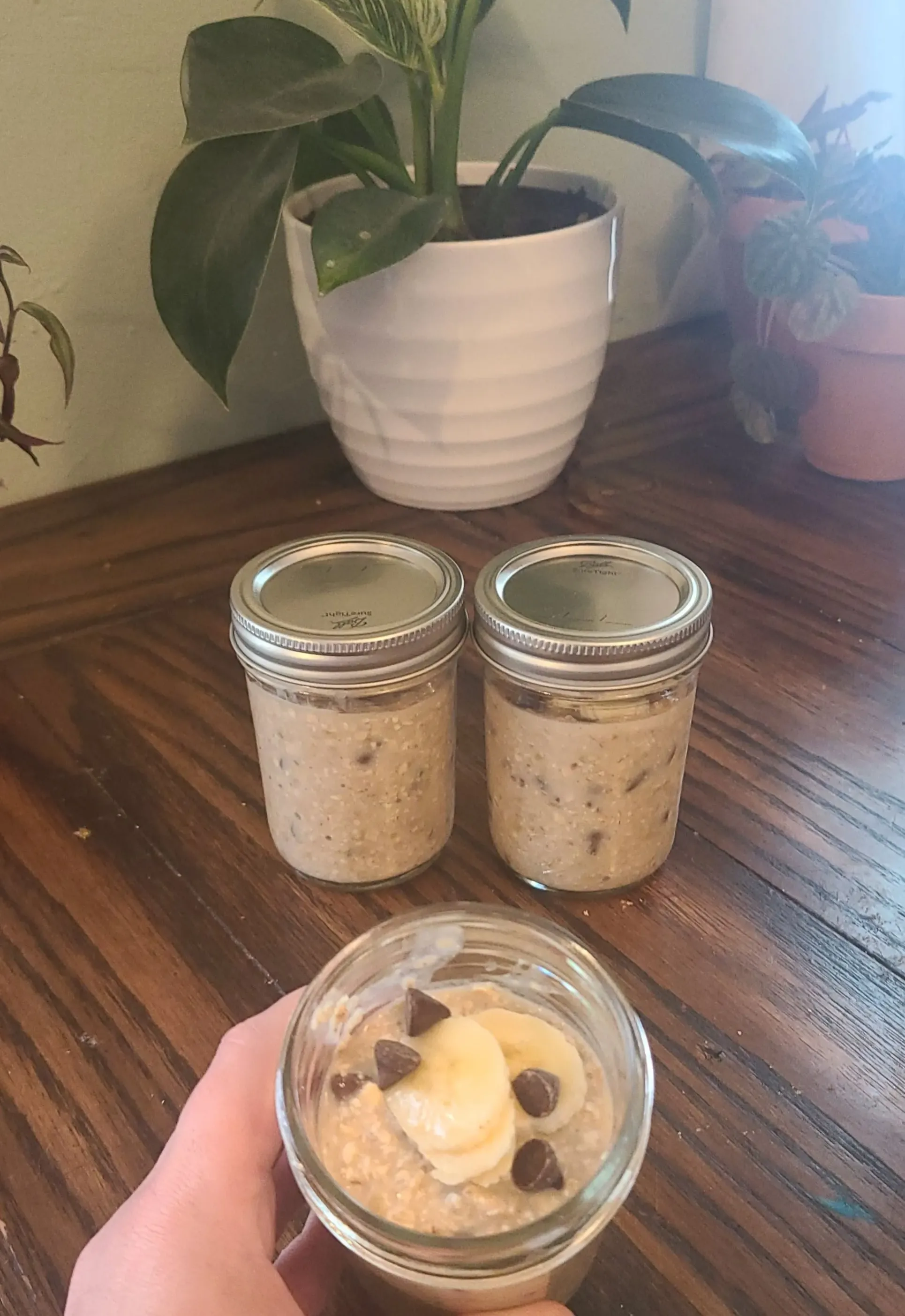 chocolate-chip-banana-overnight-oats