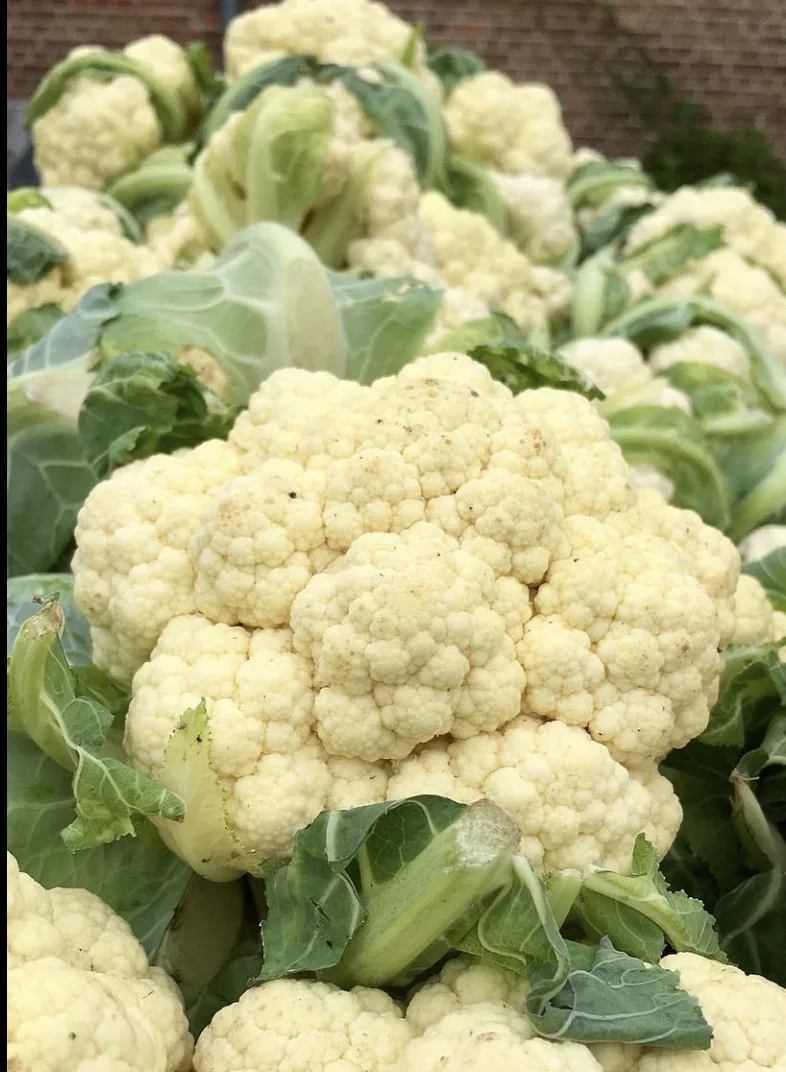 pop-corn-au-chou-fleur
