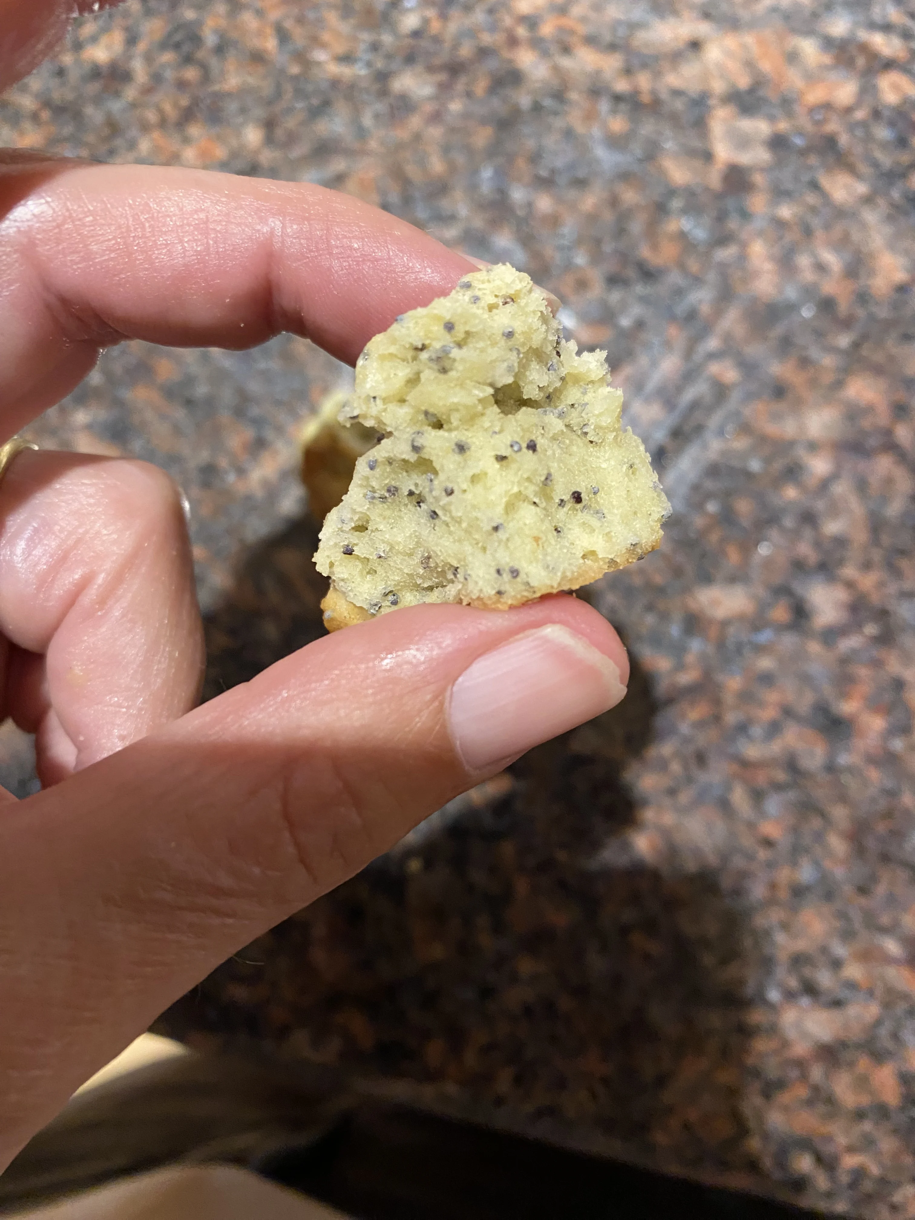 chana-leah-brod-weisman's-poppyseed-cookies