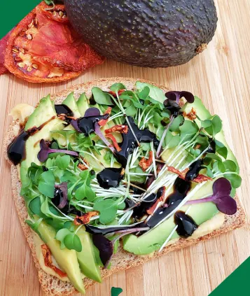 avocado-toast