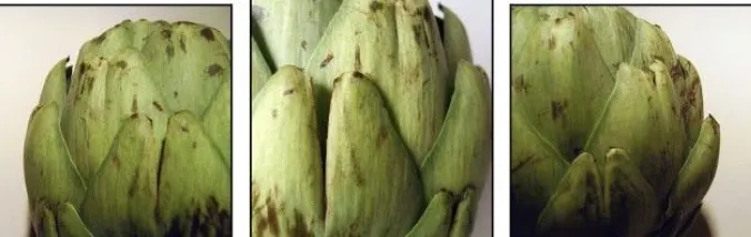 artichaut-a-la-romaine