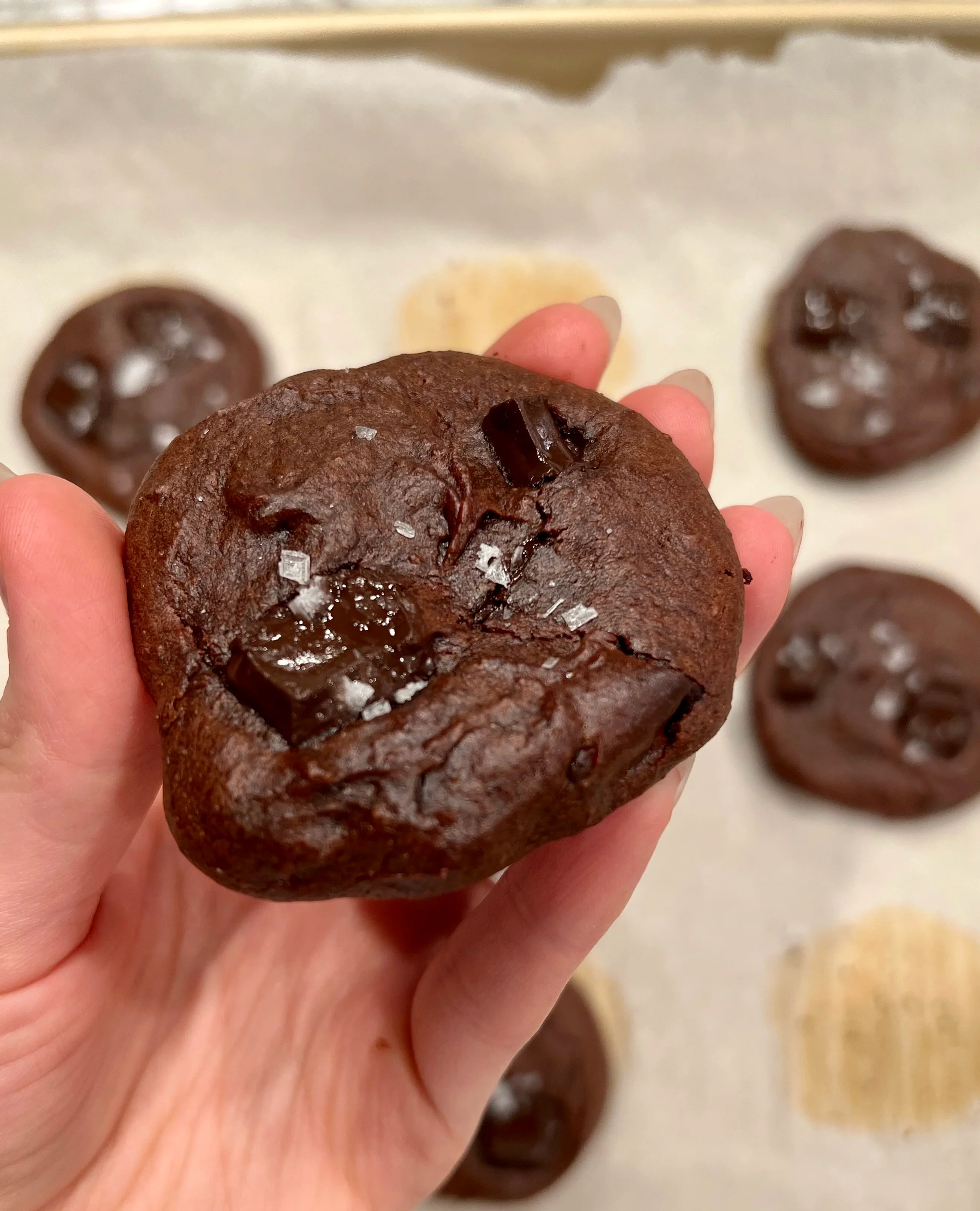 double-chocolate-salted-cookies