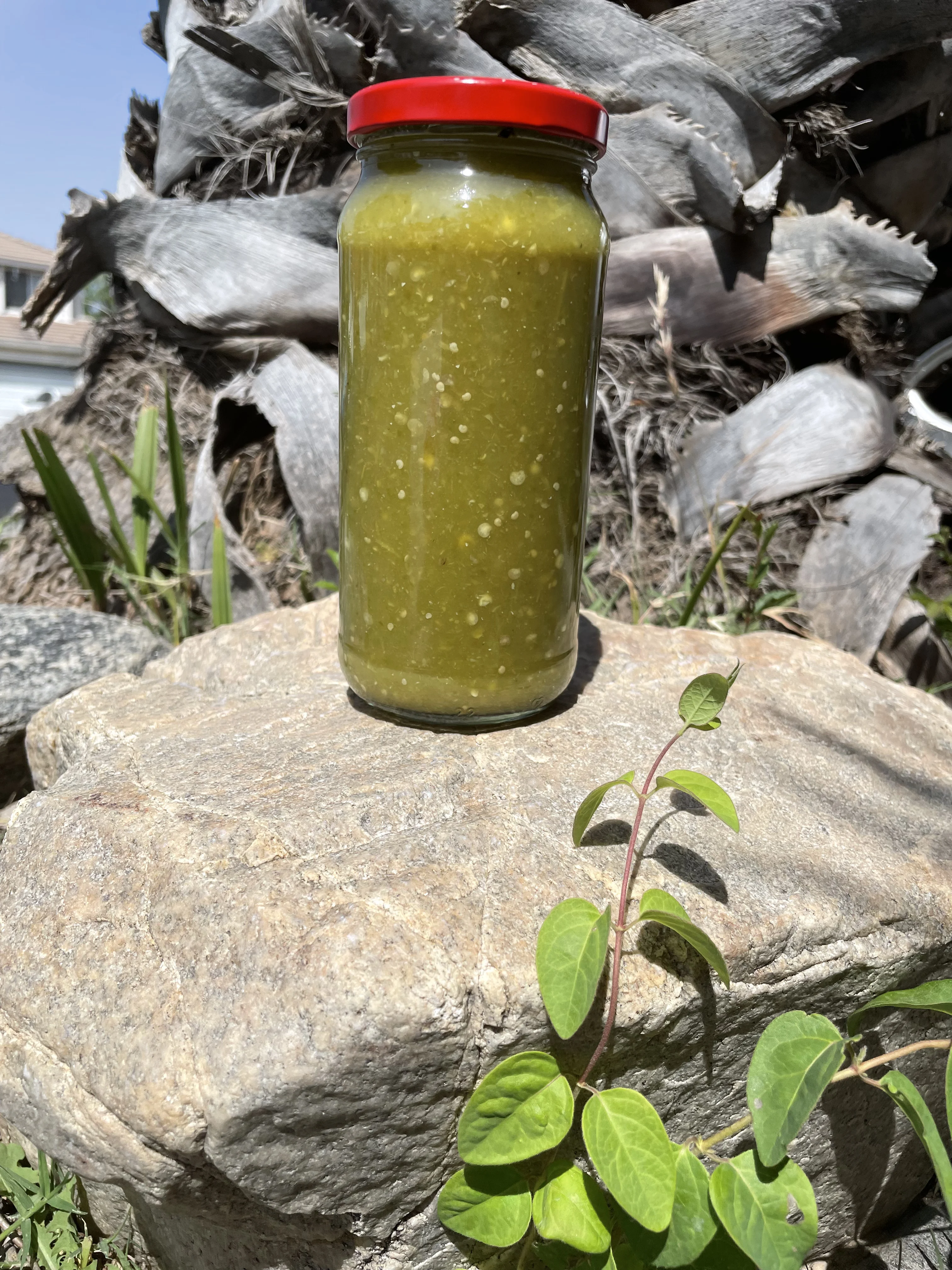 tomatillo-salsa-verde