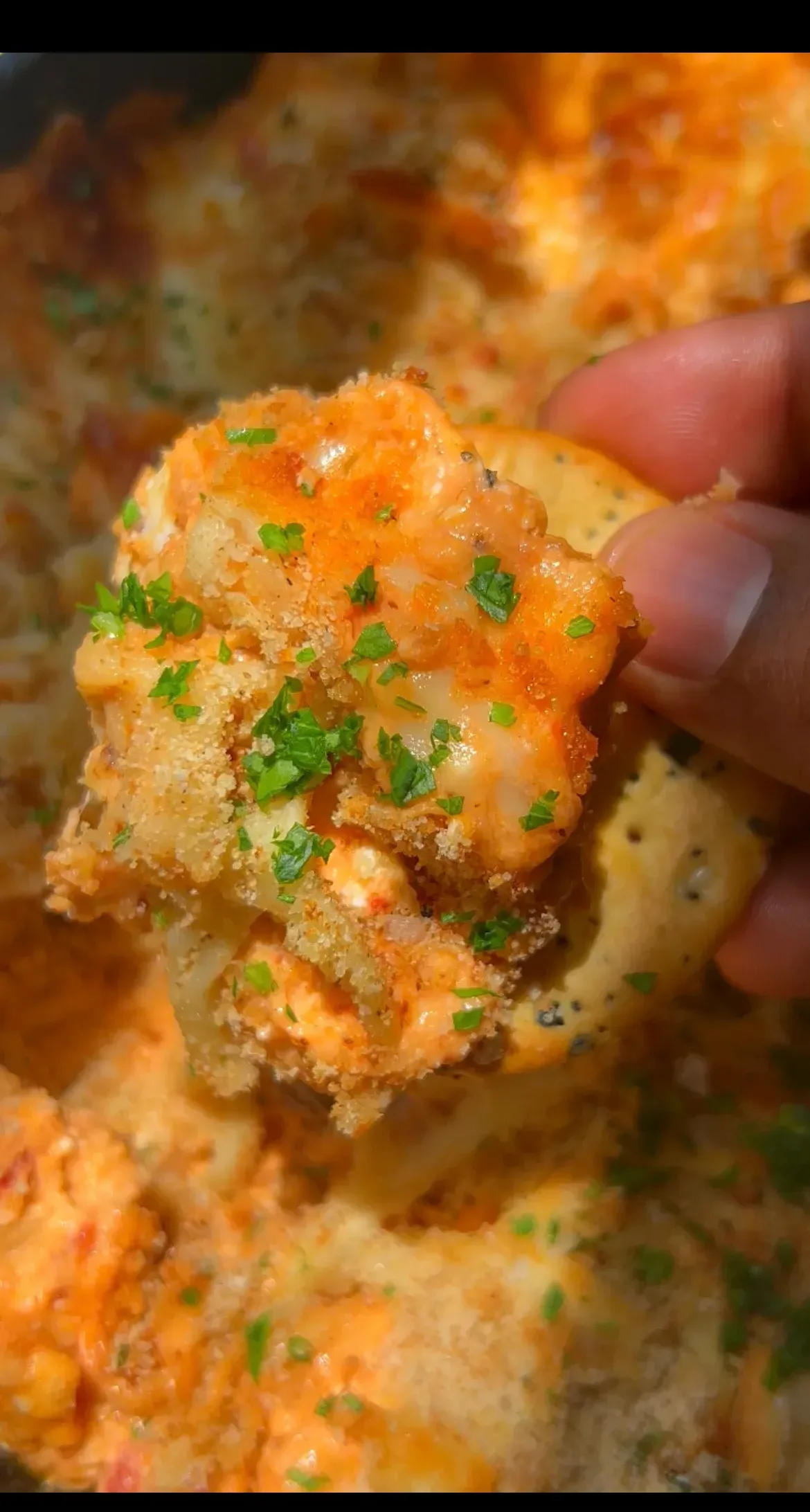 chicken-parm-party-dip