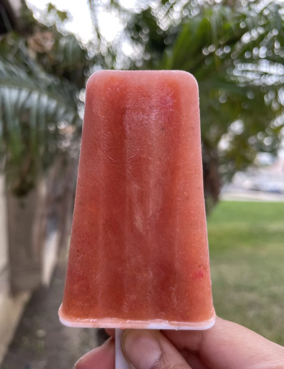 berry-ginger-popsicles