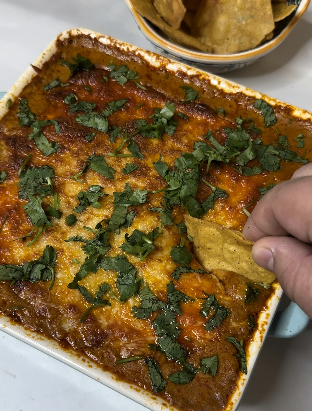 Enchilada Chicken Dip | Freddsters