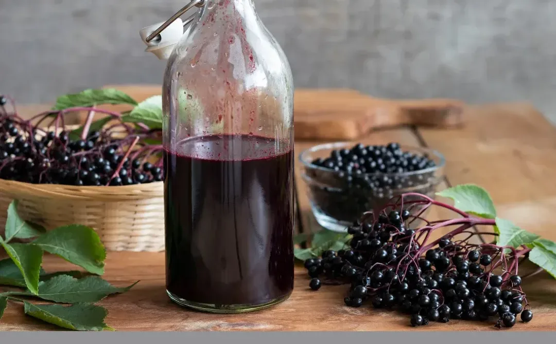 elderberry-syrup-plus++++++