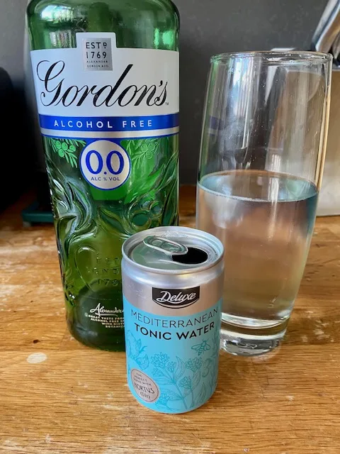 alcohol-free-gin-and-tonic