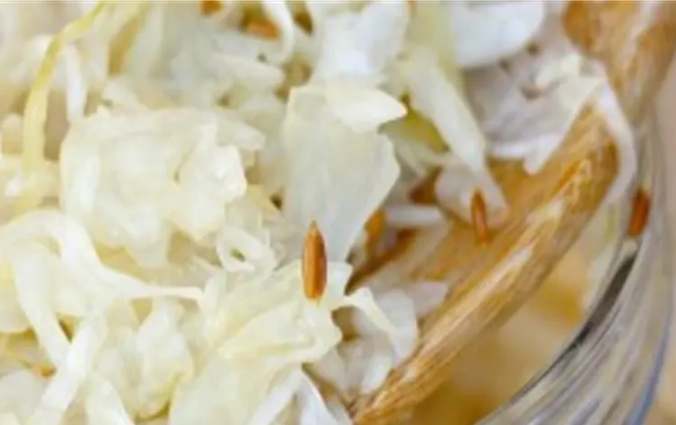 sauerkraut-fermented-green-cabbage