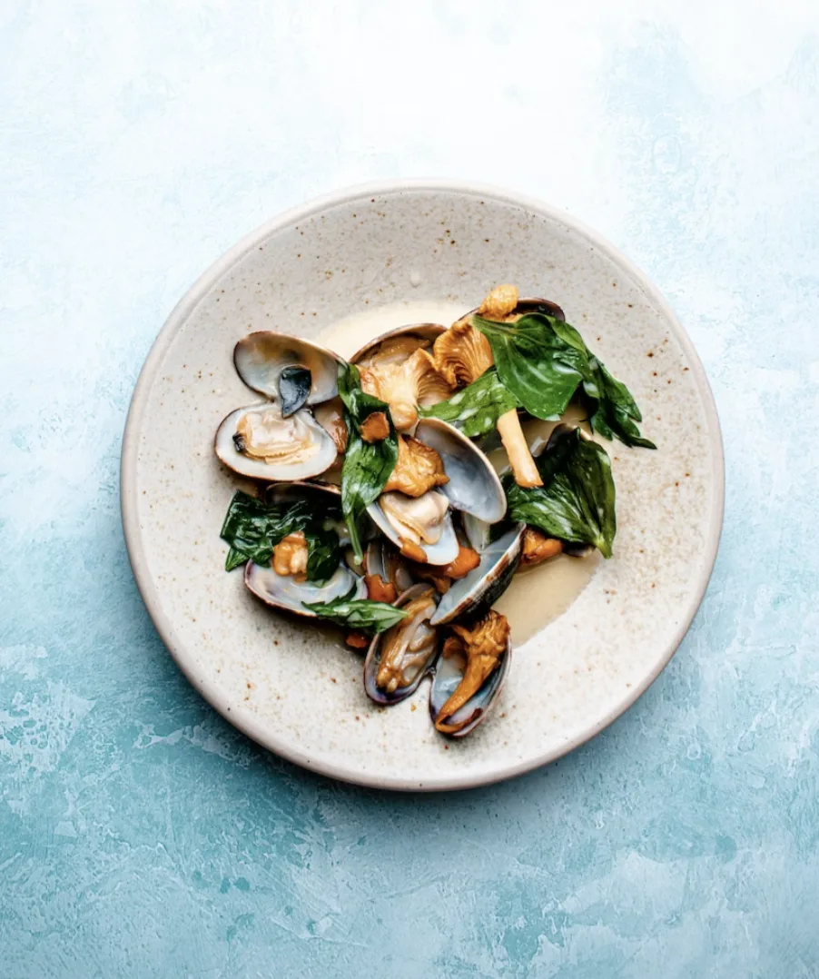 oysters