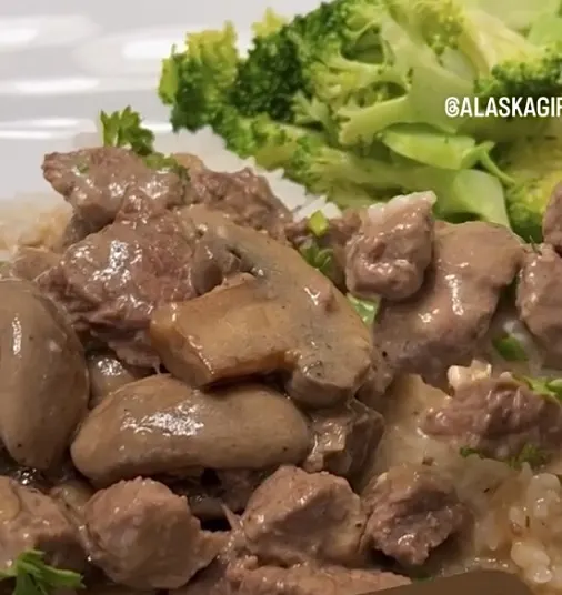 moose-stroganoff