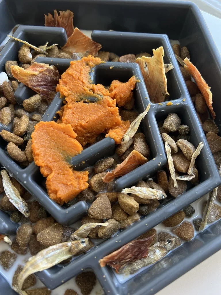 kibble-but-better