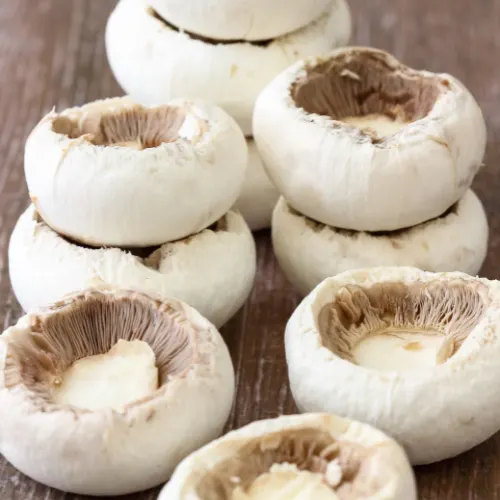 stuffed-mushrooms