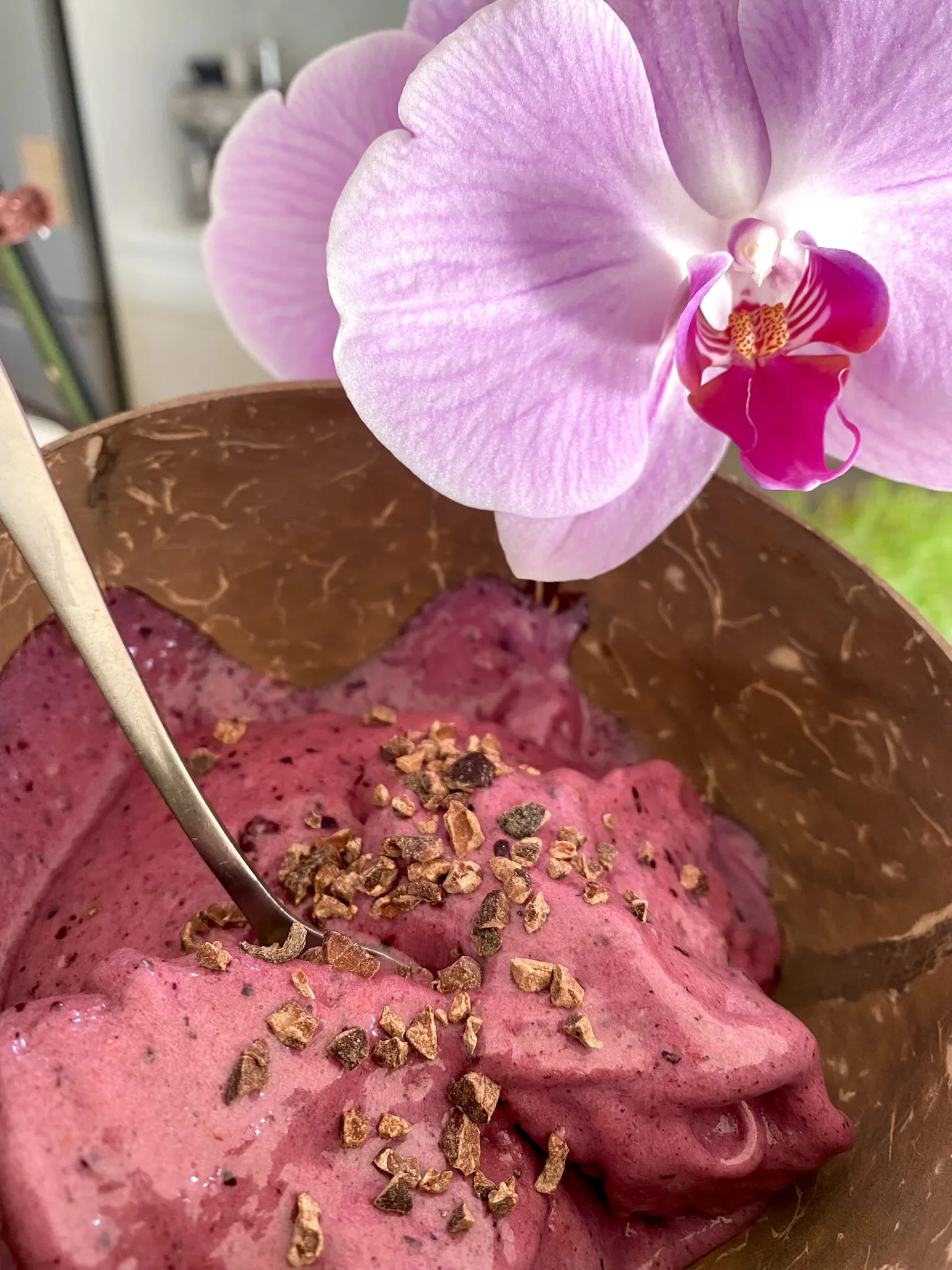 blackcurrant-nice-cream