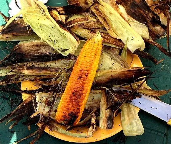 milho-assado-roasted-corn-cobs