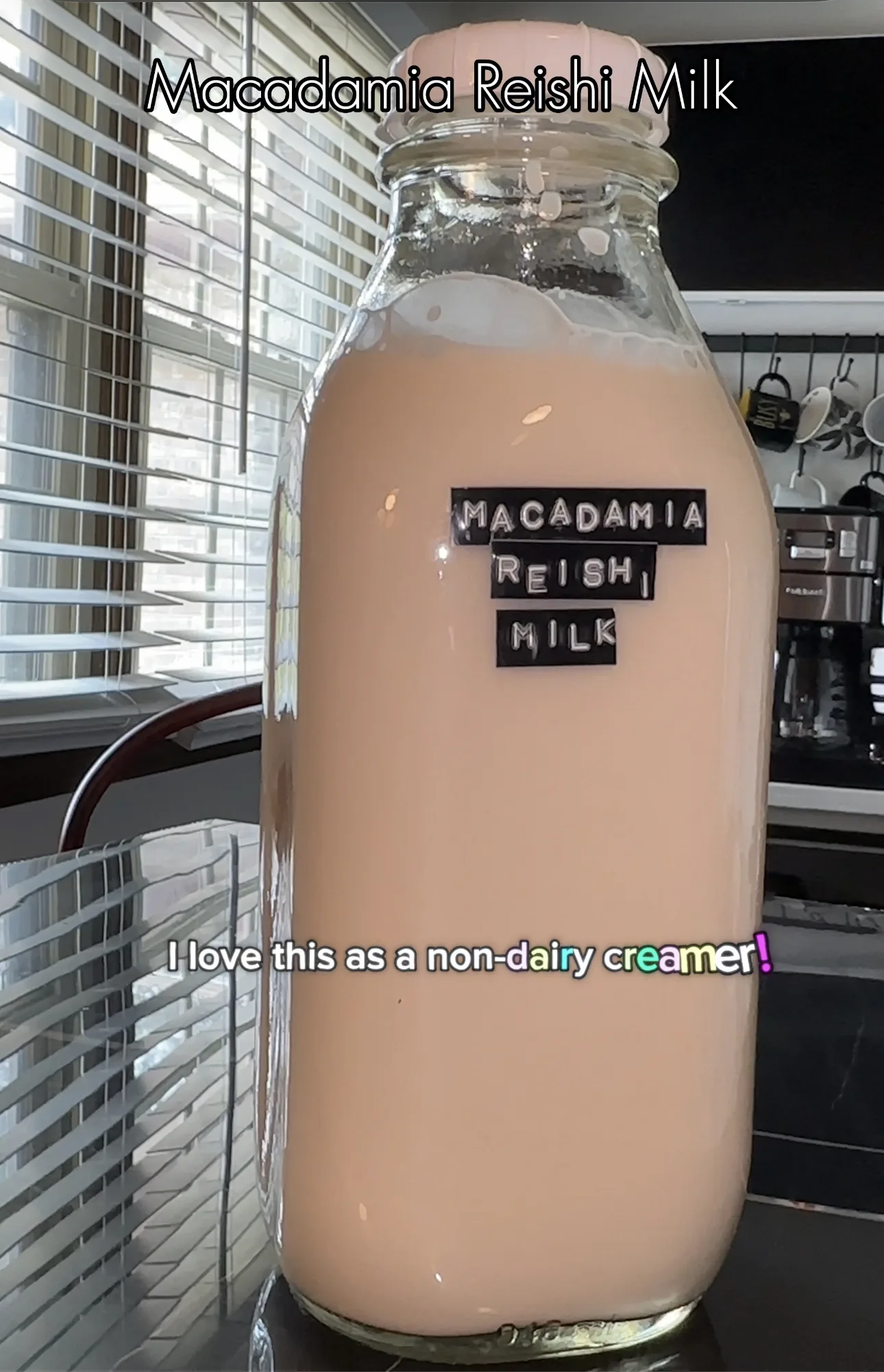 macadamia-nut-reishi-milk