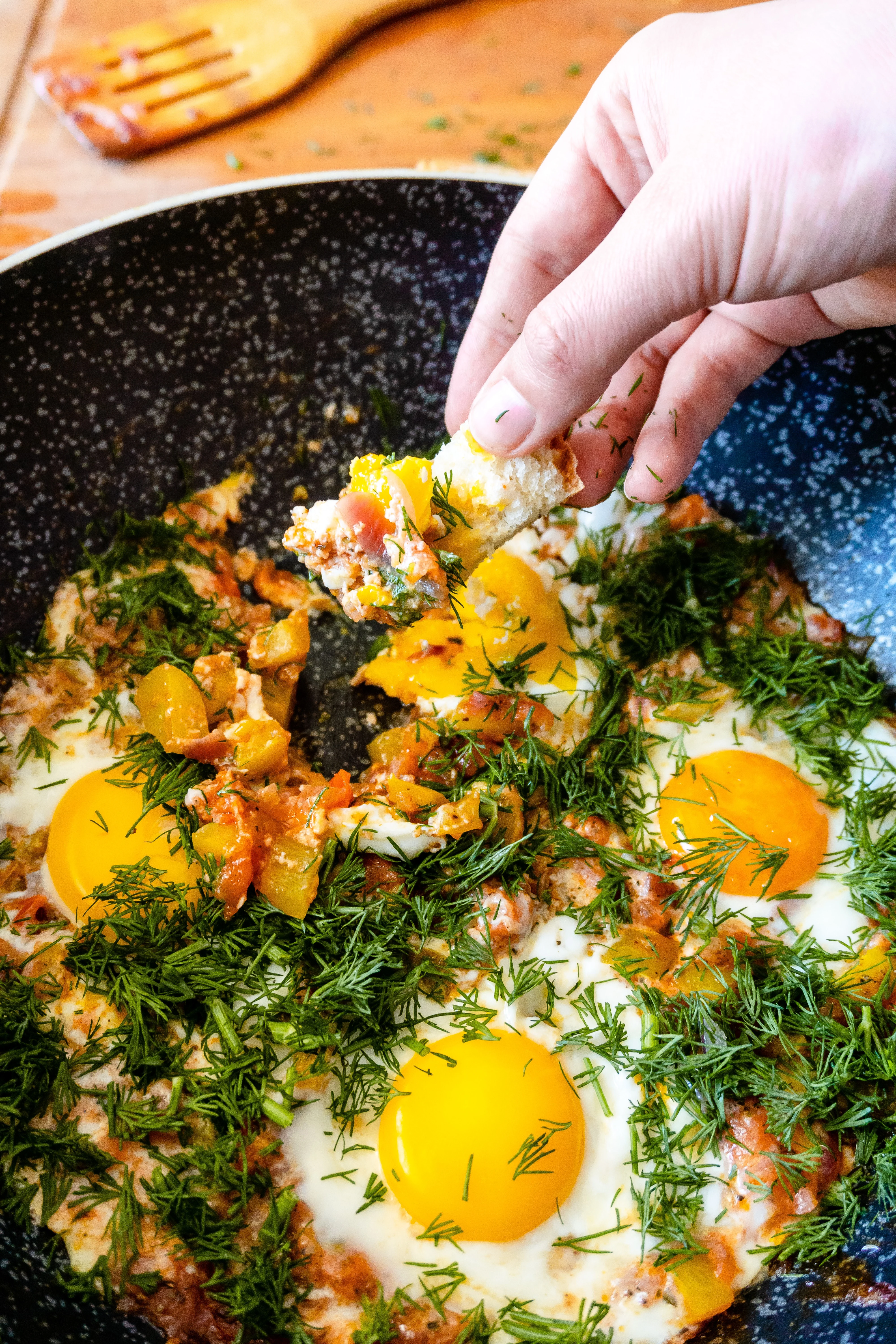 alexa's-everyday-eggs