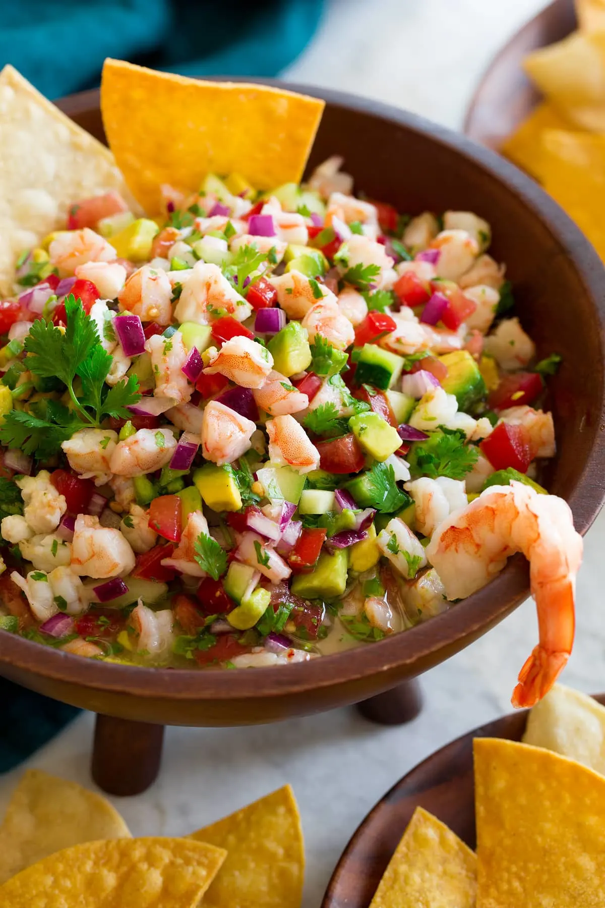 halibut-and-shrimp-ceviche-(opioids)