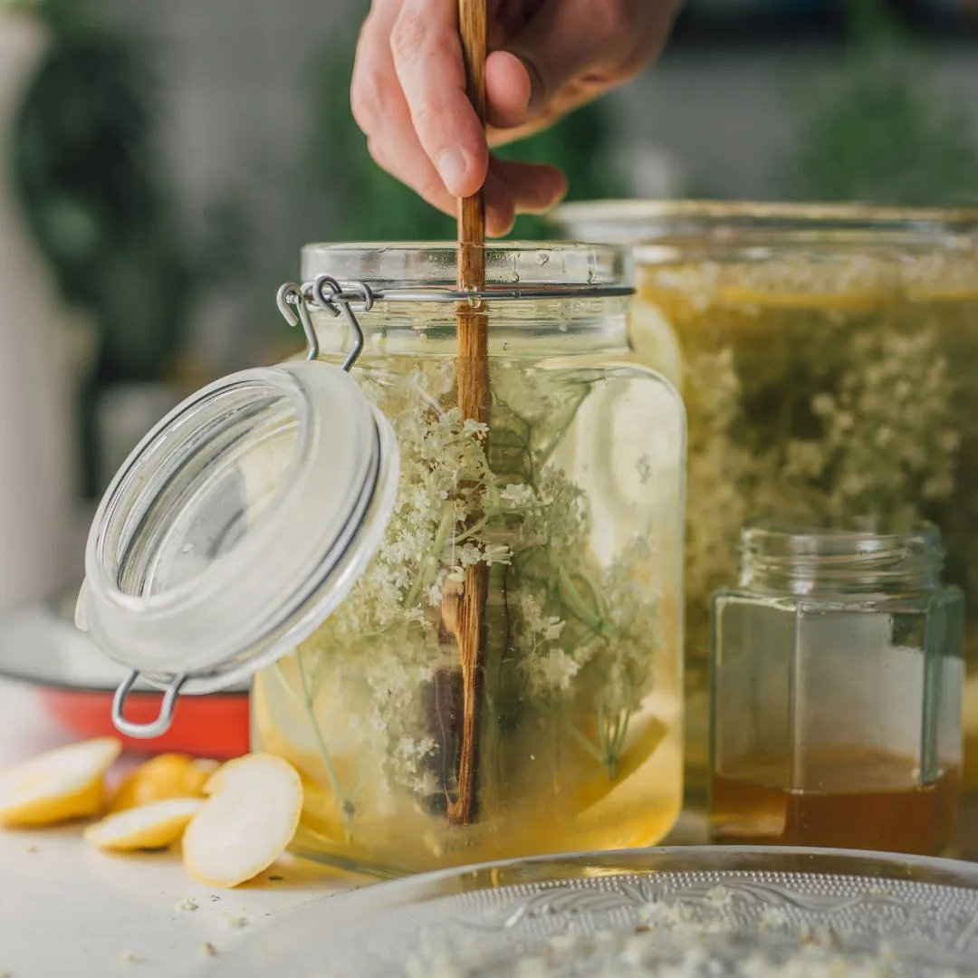 a-refreshing-elderflower-elixir-romanian-"socata"