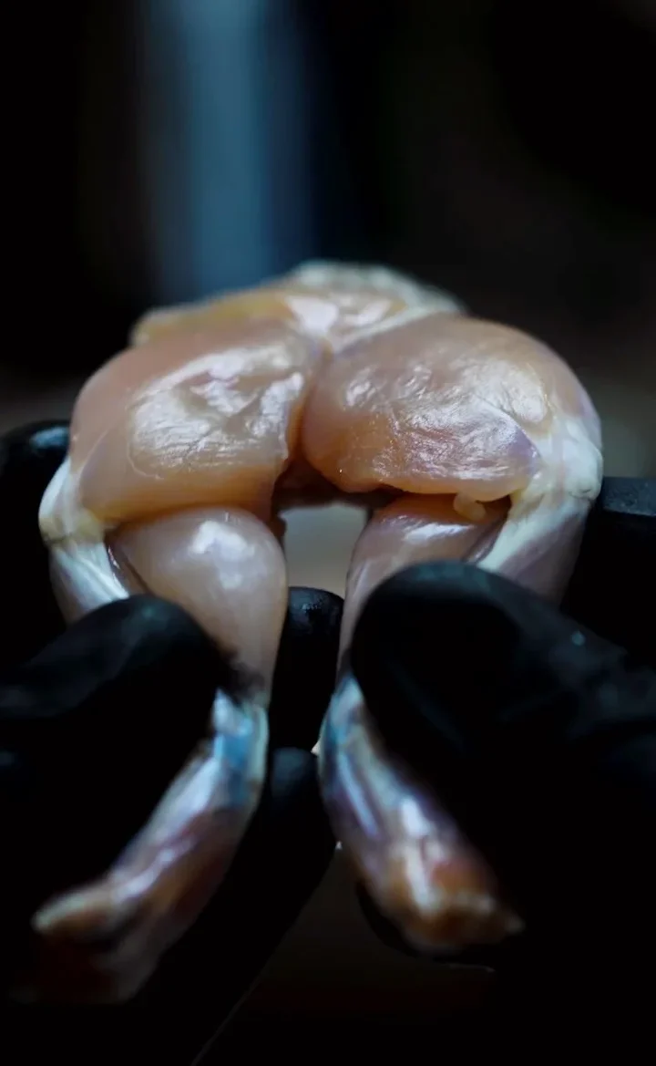 fried-frog-legs