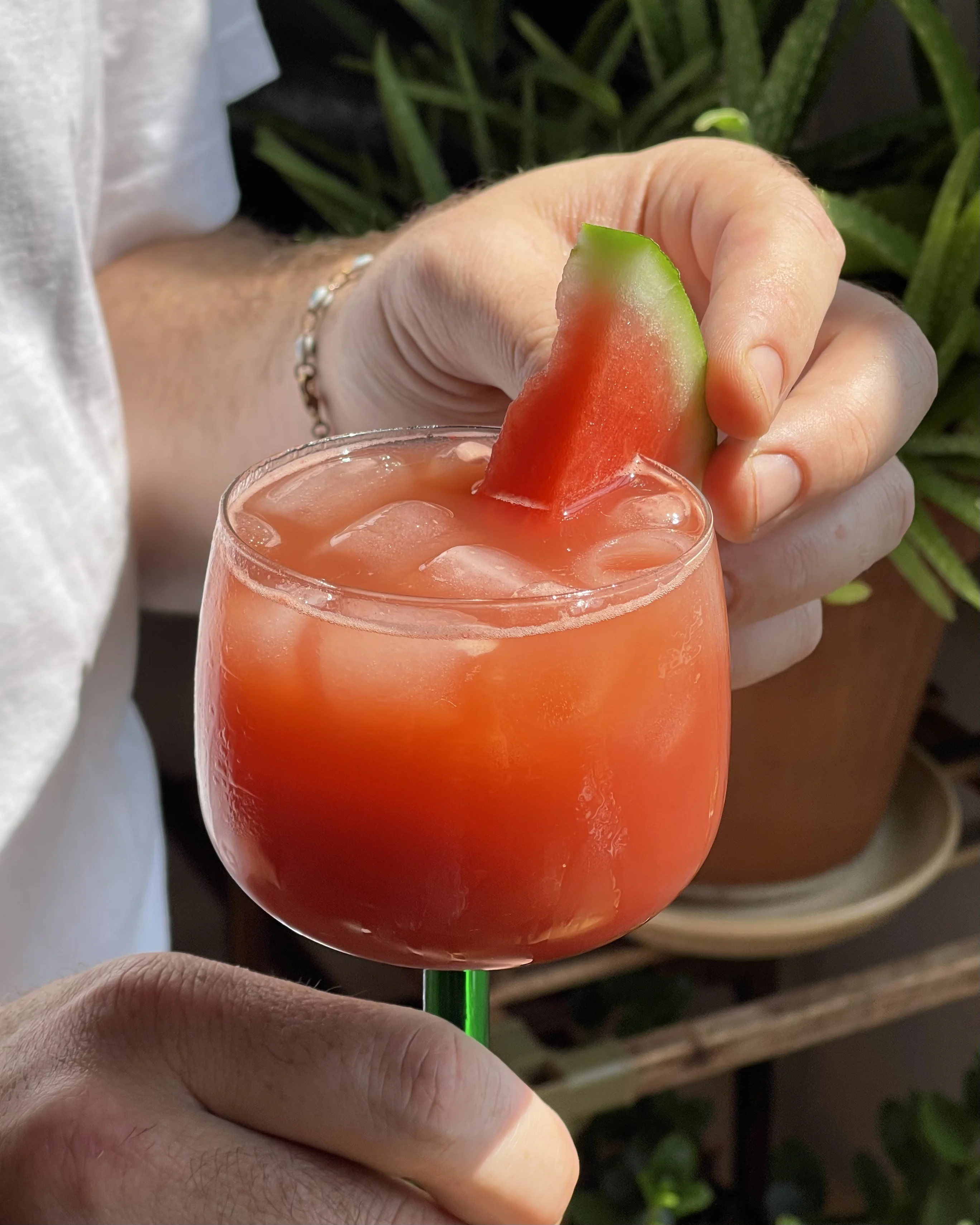 mezcal-watermelon-cocktail
