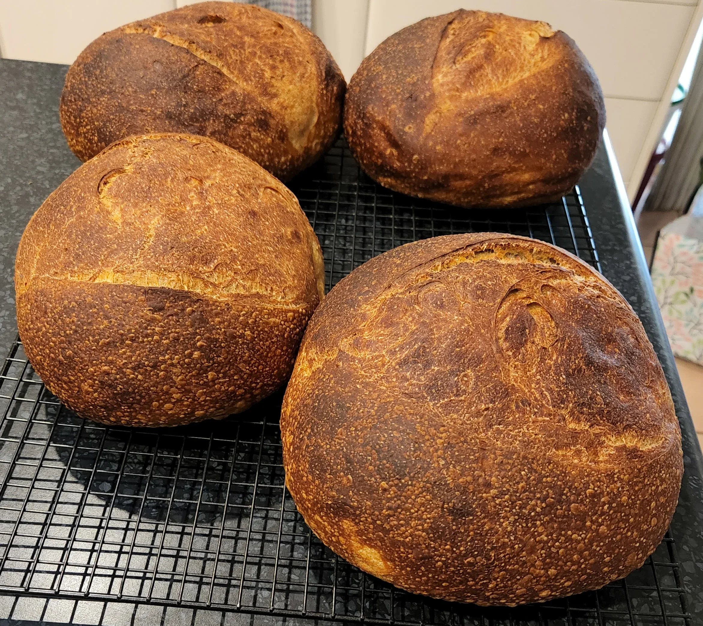 basic-sourdough-bread